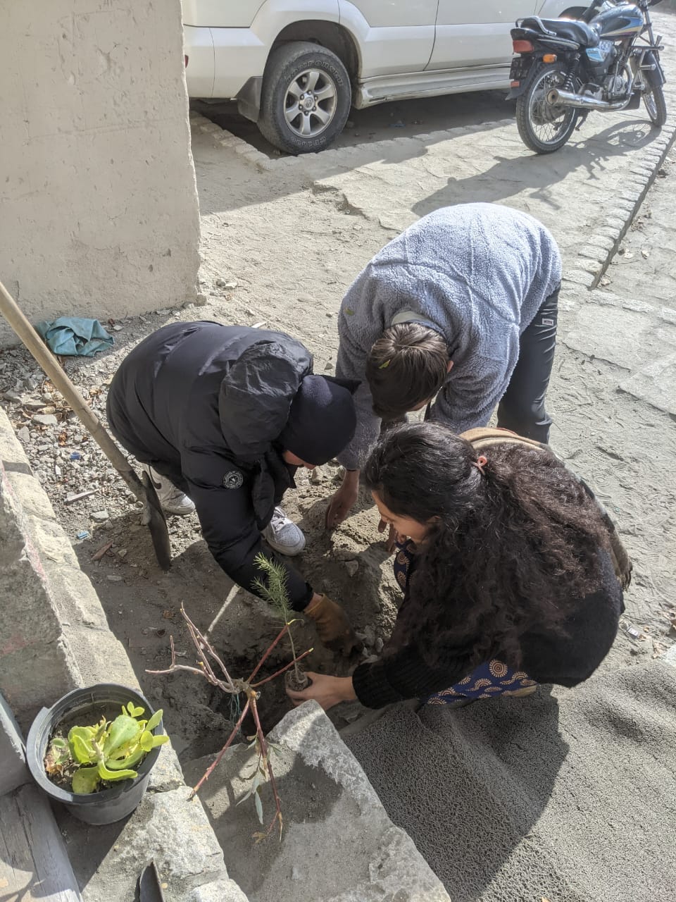 plantation day